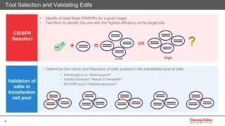 Genome Editing for Functional Genomics and Drug Discovery