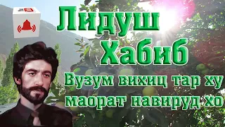 Лидуш Хабиб // Вузум вихиц тар ху маорат навирудху //