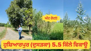 Hoshiarpur(ਦੁਸੜਕਾ) ਘੱਟ ਰੇਟ ਚ🤩 5.5 ਕਿੱਲੇ ਜਮੀਨ ਵਿਕਾਊ । 5.5 acres affordable land for sale | DKPAC