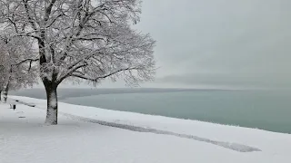 Balaton télen Vlog 11.