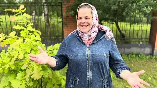Помогите на колокол 420кг - матушка Валентина Корниенко
