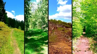 Hour Long Virtual Hike in Nature  - Diverse Scenery - Great for Cardio Workout- Single Take in 4k