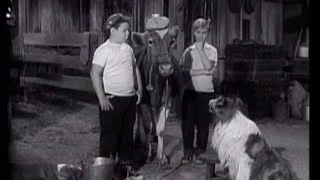 Lassie - Episode 52 - "The Vet" - Season 2, #26 (03/04/1956)