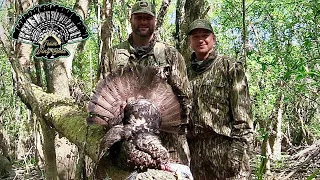 Osceola Turkey Hunt - Breaking a Nose for a Public Land Florida Swamp Gobbler
