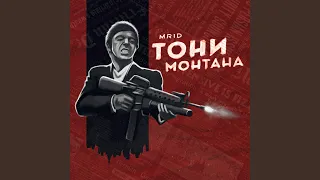 Toni Montana