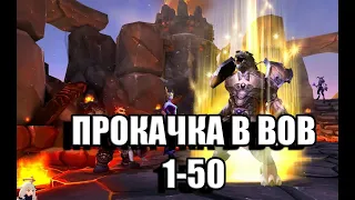 WOW SHADOWLANDS ПРОКАЧКА ДЛЯ НОВИЧКОВ C 1 ПО 50