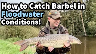 How to Catch BARBEL in Floodwater Conditions!