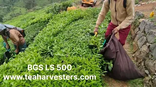 Battery tea harvester BGS LS 500