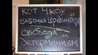 Дмитрий Ахтырский. Кот Чжоу и бабочка Шредингера. Свобода и детерминизм. NYC.. 4.10.2019