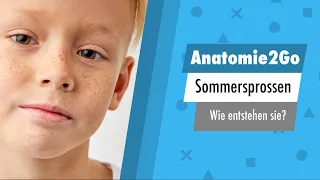 Warum bekommt nicht jeder SOMMERSPROSSEN? | Anatomie2Go