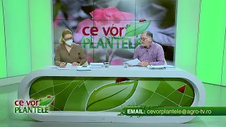 Ce vor plantele cu Cristina Ghibu partea 2 2022 05 02