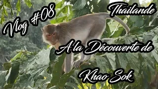 Vlog Thailande #08 -A la Découverte de Khao Sok et de sa forêt primaire-