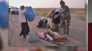 Isis releases  hundreds of Yazidi prisoners in Iraq