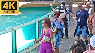 The spectacular mime Tom from SeaWorld Orlando 😂🤣 Tom the mime #tomthemime #seaworldmime