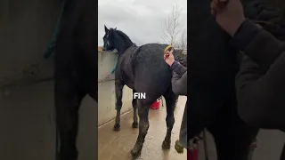 Et un caca en plein travail! 😂😂😂￼