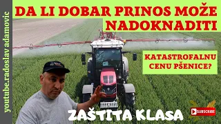 DA LI DOBAR PRINOS MOŽE NADOKNADITI KATASTROFALNU CENU PŠENICE? ZAŠTITA KLASA;SECOND WHEAT TREATMENT