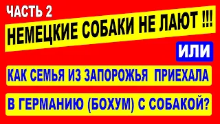 Поучительная история. Как семья из Запорожья приехала в Германию (Бохум) с собакой! - 2.