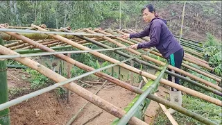 Her mother-in-law chased her away and set up a temporary tent