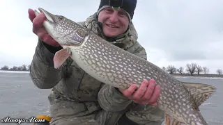 Рыбалка с ночёвкой. Самая большая щука на жерлицы за зимний сезон. Последний выход на лёд.