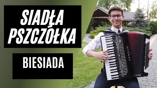 Siadła Pszczółka -  Biesiada -  Akordeon