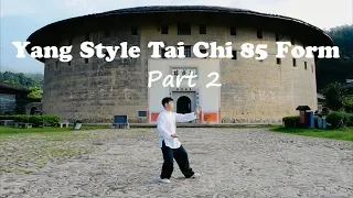 Yang Style Tai Chi 85 Form Part 2（Step 15 - 46）杨氏85式太极拳