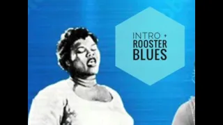 Big Mama Thornton and Tommy Bolin LIVE IN DENVER. Band intro and “Rooster Blues