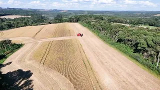 Colheita! Antônio Olinto PR