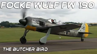 Focke Wulf FW-190  The butcher bird  . The last one !