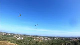 RotorRats and Lost Wing Gang - FPV Wing Formation Flying
