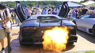 【圧巻のバックファイヤー！！】爆音空ぶかしをする諸星一家のランボルギー二 アヴェンタドール達！/Supercars sound in Japan.