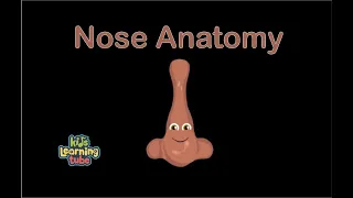 The Nose Anatomy Song