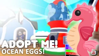 The Adopt Me OCEAN EGG Update Countdown Starts NOW..