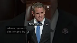 Rep. Adam Kinzinger Warns ‘Democracy Is Being Challenged’