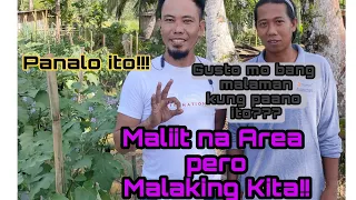 Sa Maliit na Lupa pero Malaki ang Kita.. Paano?