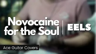 EELS - Novocaine for the Soul (Guitar Cover)
