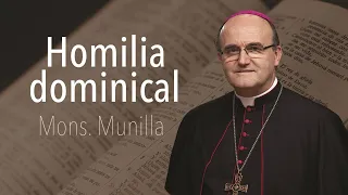 Homilía 11.12.2022 /Domingo de la 3ª semana de Adviento