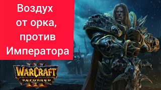 Воздух от орка, против Императора‼️ Happy (Ud) vs Infi (Orc) Warcraft 3 Reforged