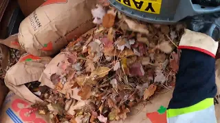 Fall Yard Waste 4 GoPro Garbage man POV