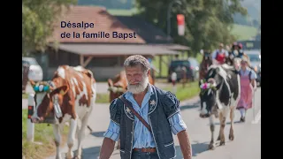 Désalpe de la famille Bapst