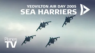 Sea Harrier Farewell Yeovilton Air Day 2005