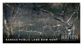 PUBLIC LAND Bow Hunt KANSAS - Big Buck Gets a Boat Ride