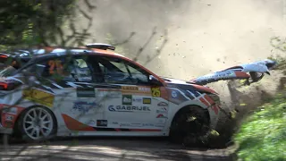 Lavanttal Rallye 2024 Big Crashes and Action