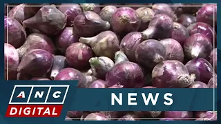 PH Ombudsman suspends Agriculture, FTI officials over questionable purchase of 'Kadiwa' onions | ANC