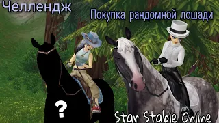 Челлендж/Покупка рандомной лошади/Star Stable Online