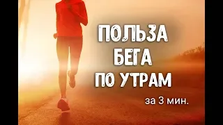 Польза бега по утрам. Бег для похудения