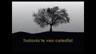 Coldplay - Everglow (Subtitulado en Español)