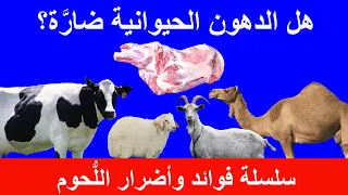 هل الدهون الحيوانية مضرة | الدهون الحيوانية و السكري والضغط  والأمراض المزمنة