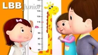 Measuring Your Height Song | How Tall Are You? | Original Songs | By LBB Junior