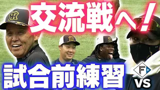 【いざ交流戦！】今日から交流戦！しかし天候不良で試合中止…そんな日は試合前の練習をお届け！交流戦に臨む選手や岡田監督、そして新庄監督も！阪神タイガース密着！応援番組「虎バン」ABCテレビ公式チャンネル