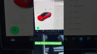 New Tesla Voice Command!